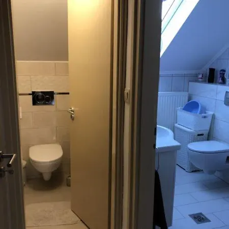 Faro * Вонярцвашхедь